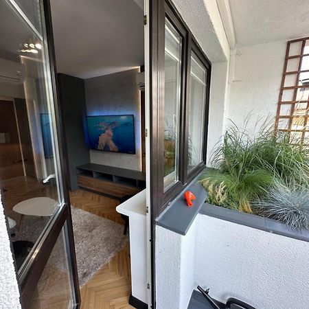 Apartament Przy Parku 凯尔采 外观 照片